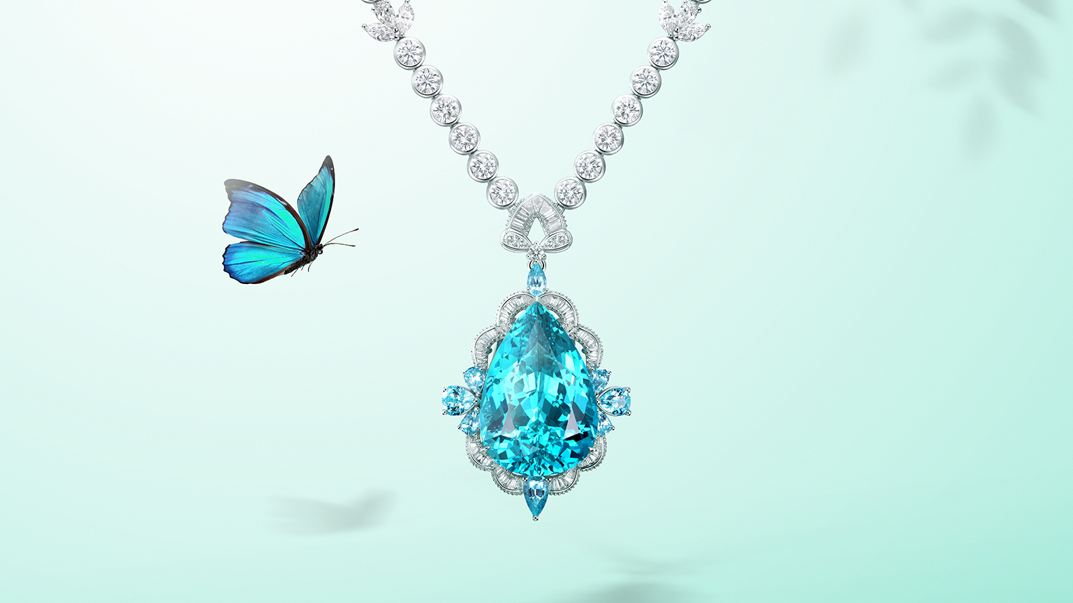 suns Official Website